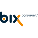 biX Consulting GmbH & Co. KG
